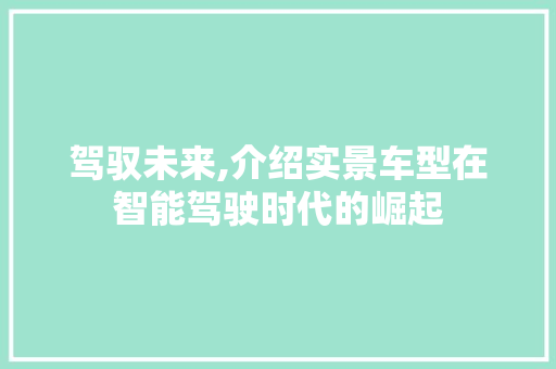驾驭未来,介绍实景车型在智能驾驶时代的崛起