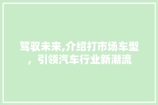 驾驭未来,介绍打市场车型，引领汽车行业新潮流