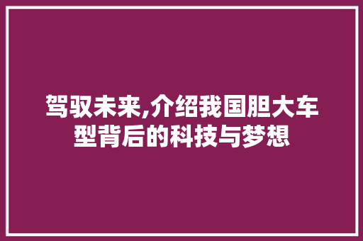 驾驭未来,介绍我国胆大车型背后的科技与梦想