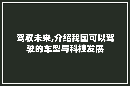 驾驭未来,介绍我国可以驾驶的车型与科技发展