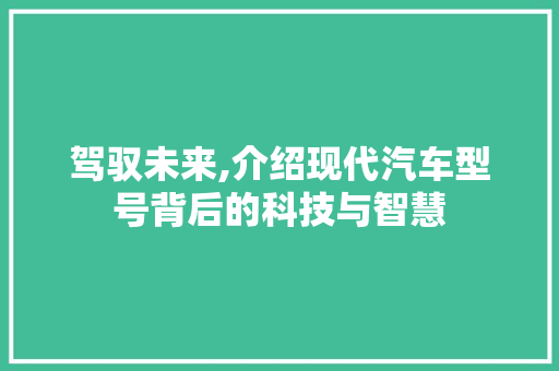 驾驭未来,介绍现代汽车型号背后的科技与智慧