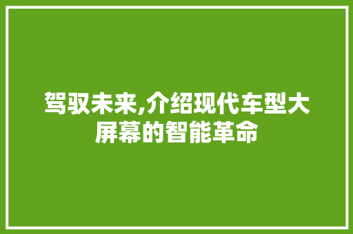 驾驭未来,介绍现代车型大屏幕的智能革命