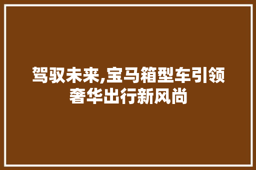 驾驭未来,宝马箱型车引领奢华出行新风尚