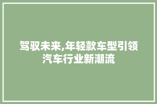 驾驭未来,年轻款车型引领汽车行业新潮流
