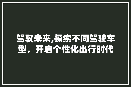 驾驭未来,探索不同驾驶车型，开启个性化出行时代