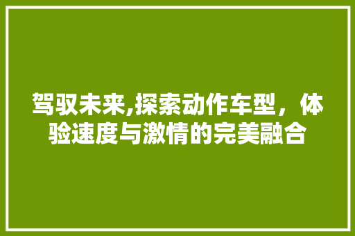 驾驭未来,探索动作车型，体验速度与激情的完美融合 车身配件