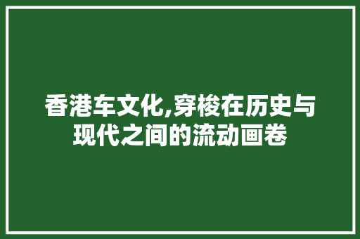 香港车文化,穿梭在历史与现代之间的流动画卷