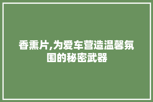 香熏片,为爱车营造温馨氛围的秘密武器