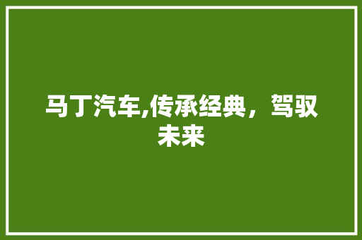 马丁汽车,传承经典，驾驭未来