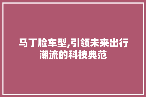 马丁脸车型,引领未来出行潮流的科技典范