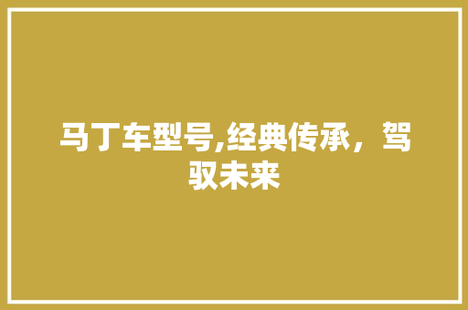 马丁车型号,经典传承，驾驭未来