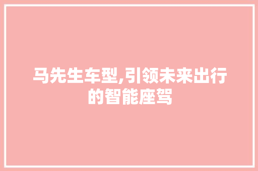 马先生车型,引领未来出行的智能座驾