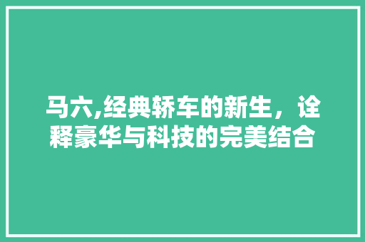 马六,经典轿车的新生，诠释豪华与科技的完美结合