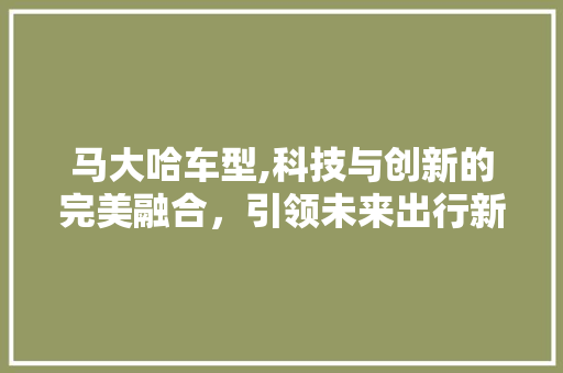 马大哈车型,科技与创新的完美融合，引领未来出行新潮流 汽车配件