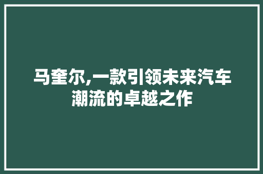 马奎尔,一款引领未来汽车潮流的卓越之作 底盘配件