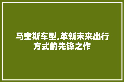 马奎斯车型,革新未来出行方式的先锋之作