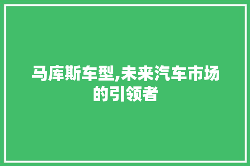 马库斯车型,未来汽车市场的引领者