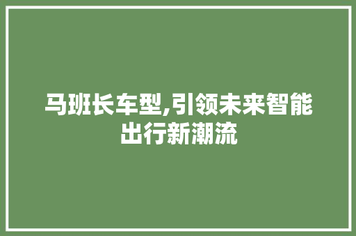 马班长车型,引领未来智能出行新潮流