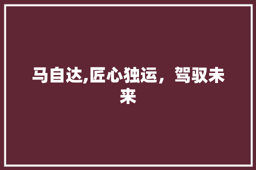 马自达,匠心独运，驾驭未来