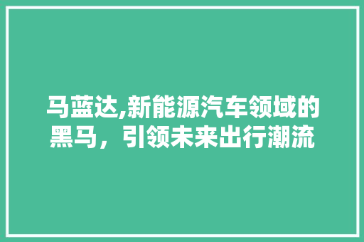 马蓝达,新能源汽车领域的黑马，引领未来出行潮流