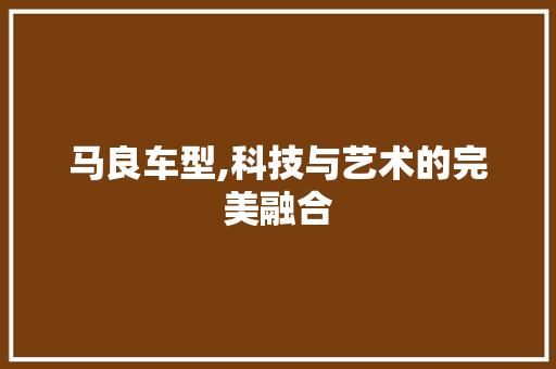 马良车型,科技与艺术的完美融合