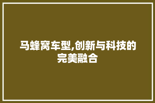马蜂窝车型,创新与科技的完美融合