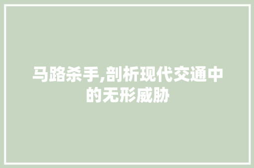 马路杀手,剖析现代交通中的无形威胁