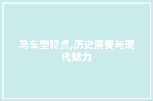 马车型特点,历史演变与现代魅力