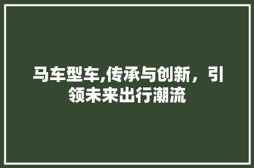 马车型车,传承与创新，引领未来出行潮流