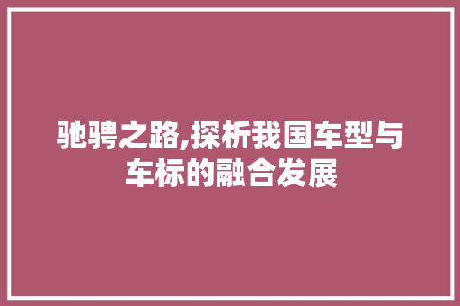 驰骋之路,探析我国车型与车标的融合发展 底盘配件