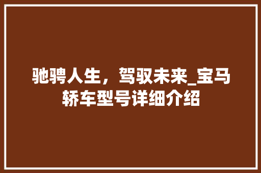 驰骋人生，驾驭未来_宝马轿车型号详细介绍 车灯配件