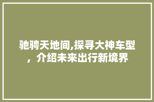 驰骋天地间,探寻大神车型，介绍未来出行新境界