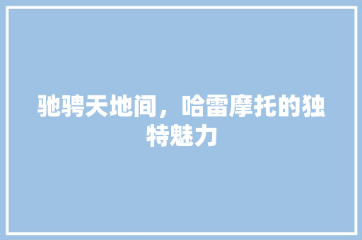 驰骋天地间，哈雷摩托的独特魅力