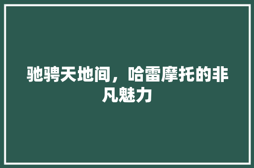 驰骋天地间，哈雷摩托的非凡魅力