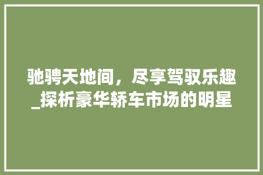 驰骋天地间，尽享驾驭乐趣_探析豪华轿车市场的明星车型_宝马5系