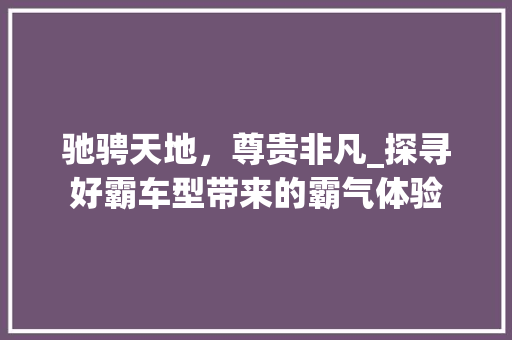驰骋天地，尊贵非凡_探寻好霸车型带来的霸气体验 车灯配件