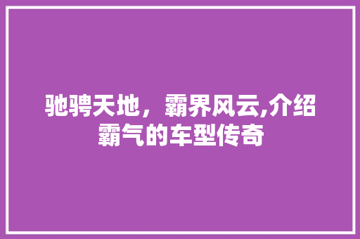 驰骋天地，霸界风云,介绍霸气的车型传奇