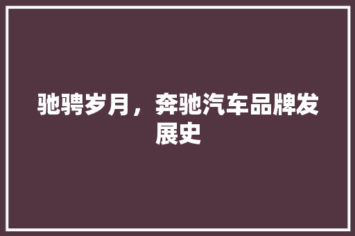 驰骋岁月，奔驰汽车品牌发展史