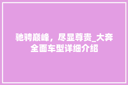 驰骋巅峰，尽显尊贵_大奔全面车型详细介绍