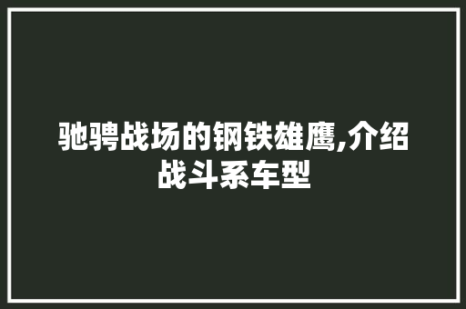 驰骋战场的钢铁雄鹰,介绍战斗系车型