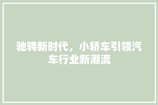 驰骋新时代，小轿车引领汽车行业新潮流 底盘配件