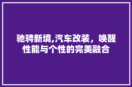 驰骋新境,汽车改装，唤醒性能与个性的完美融合