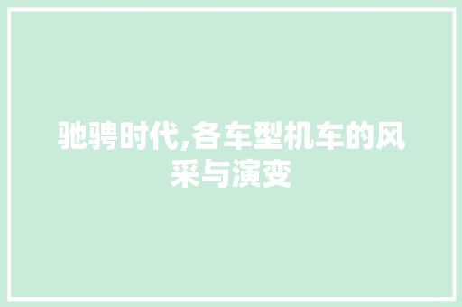 驰骋时代,各车型机车的风采与演变