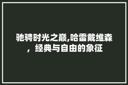 驰骋时光之巅,哈雷戴维森，经典与自由的象征