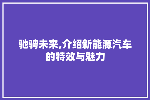 驰骋未来,介绍新能源汽车的特效与魅力