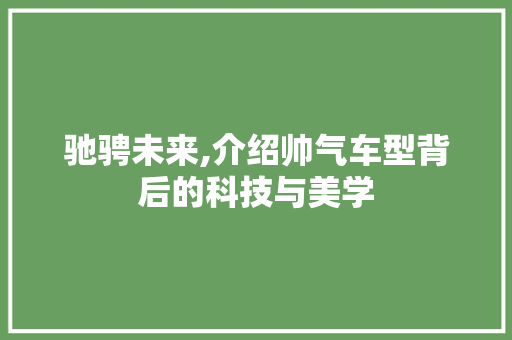 驰骋未来,介绍帅气车型背后的科技与美学