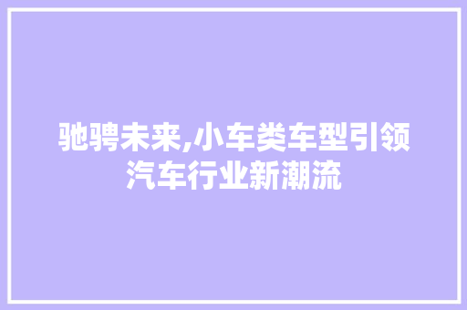 驰骋未来,小车类车型引领汽车行业新潮流