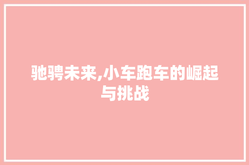 驰骋未来,小车跑车的崛起与挑战