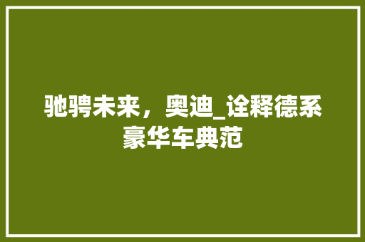 驰骋未来，奥迪_诠释德系豪华车典范