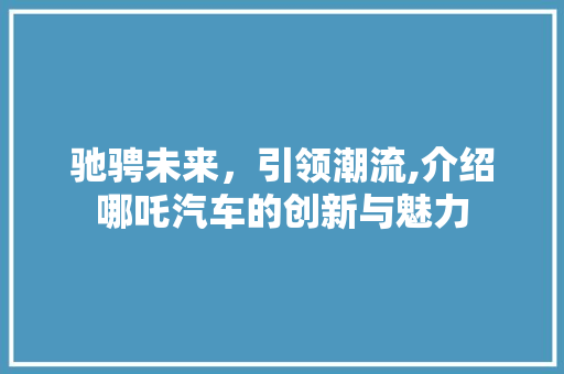 驰骋未来，引领潮流,介绍哪吒汽车的创新与魅力